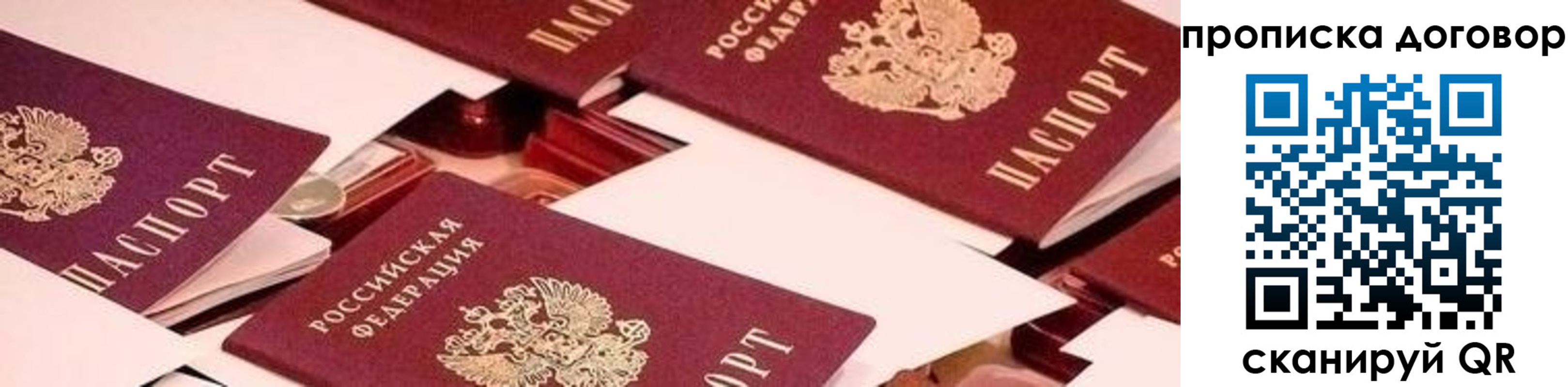 прописка для школы в Каменке